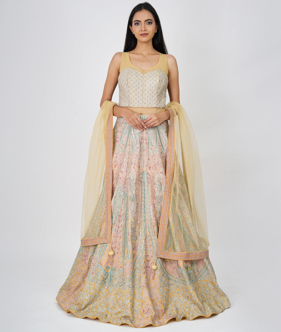 Yellow Multi Color Thread And Zari Embroidery With Sequins And Swarovski Stone Work E.Gown Gown