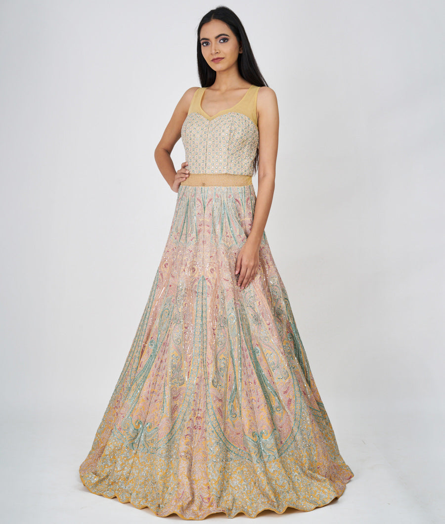 Yellow Multi Color Thread And Zari Embroidery With Sequins And Swarovski Stone Work E.Gown Gown